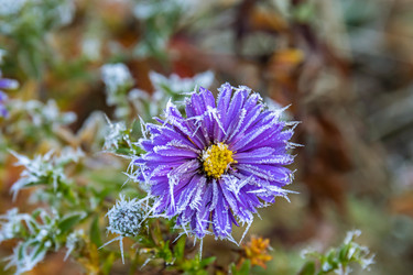 Similar image 20983455