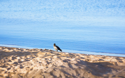 Similar image 20986118