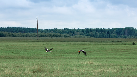 Similar image 20986121