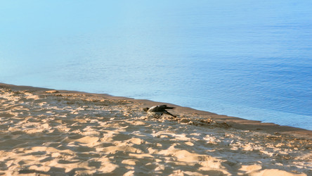 Similar image 20986125