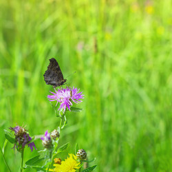 Similar image 20986141