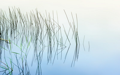 Similar image 20986142