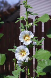 Similar image 20985972