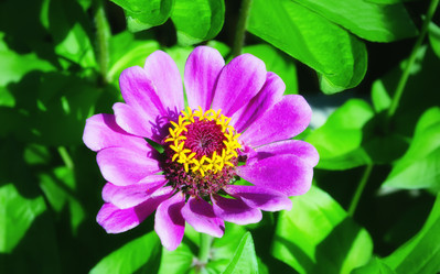 Similar image 20985976