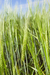 Similar image 20985981