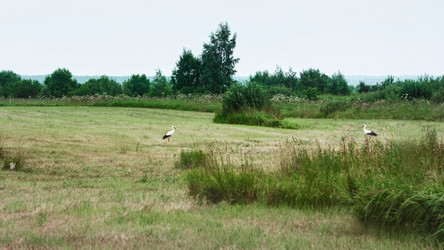 Similar image 20985993