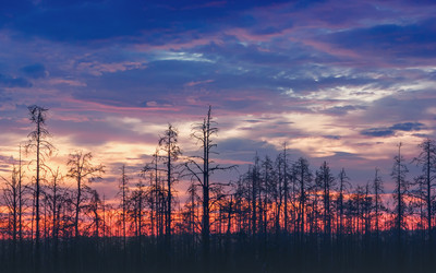 Similar image 20986165