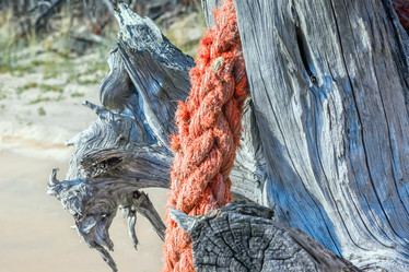 Similar image 20985913