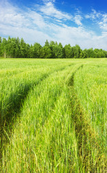 Similar image 20986017