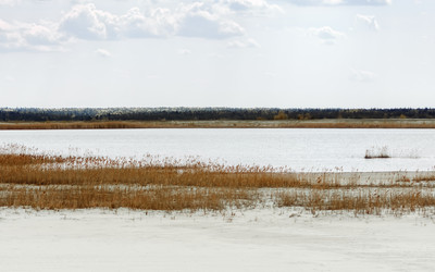 Similar image 20986032