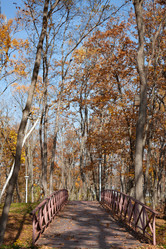 Similar image 20980264