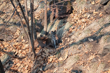 Similar image 20980269