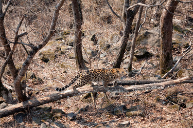 Similar image 20980270