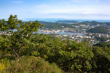 Similar image 20980273