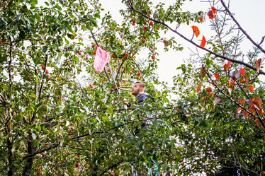 Similar image 20986063