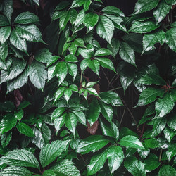 Similar image 20986068