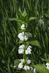 Similar image 20986076