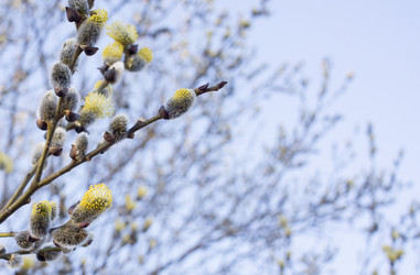 Similar image 20976667