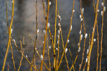 Similar image 20976668