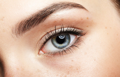 Similar image 21017720