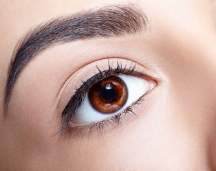 Similar image 21017689