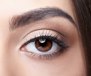 Similar image 21017694