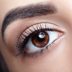 Similar image 21017761