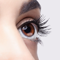 Similar image 21017766