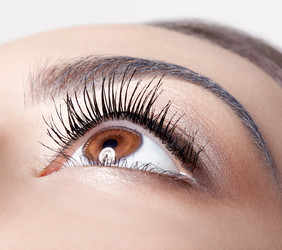 Similar image 21017768