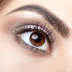 Similar image 21017771