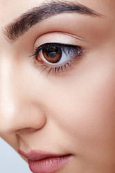 Similar image 21017369