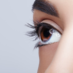 Similar image 21017490