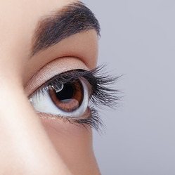 Similar image 21017491