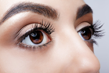 Similar image 21017497