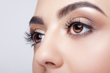 Similar image 21017499