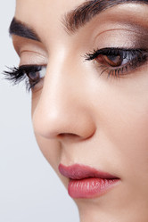 Similar image 21017502