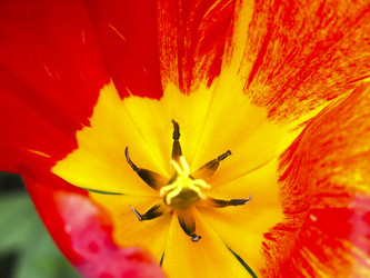 Similar image 20981346