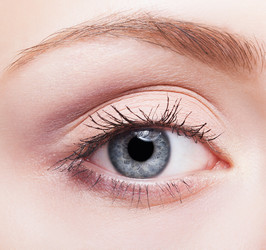 Similar image 21017529