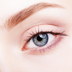 Similar image 21017531