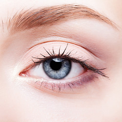 Similar image 21017533