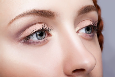 Similar image 21017537