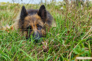 Similar image 20979006