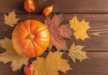 Similar image 20978355