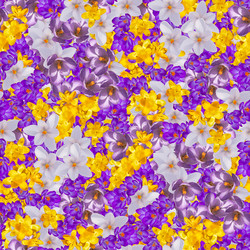 Similar image 20983457