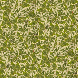 Similar image 20983458