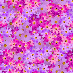 Similar image 20983459