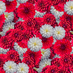 Similar image 20983460