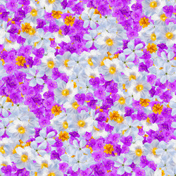 Similar image 20983461