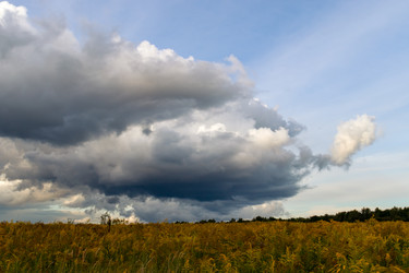 Similar image 20983463