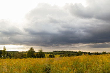 Similar image 20983464